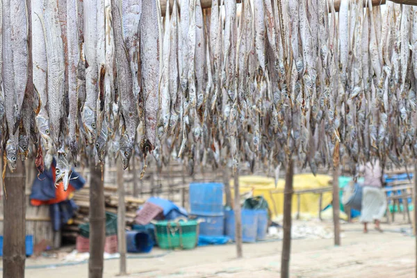 Tasty Dried Salted Fish Stock Hanging Farm Harvest Sell — Stock Photo, Image