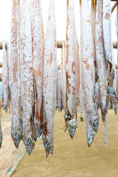 Saboroso Caldo Peixe Seco Salgado Com Suspensão Fazenda Para Colheita — Fotografia de Stock