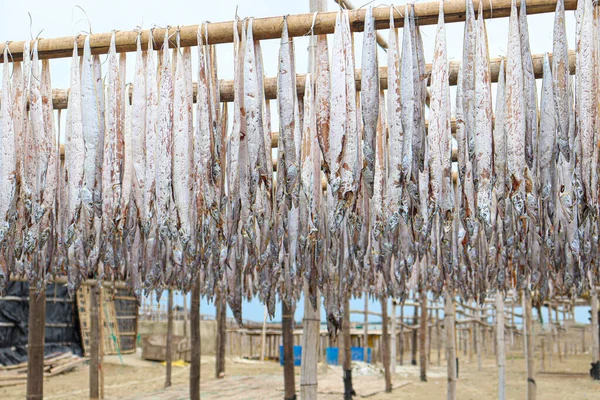 Saboroso Caldo Peixe Seco Salgado Com Suspensão Fazenda Para Colheita — Fotografia de Stock