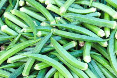 yeşil renkli bayan parmak stoku