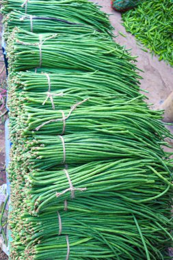 Taze ve sağlıklı Yardlong fasulye stoku satışta.