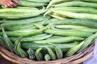 Taze ve sağlıklı Yılan Kabağı stoku