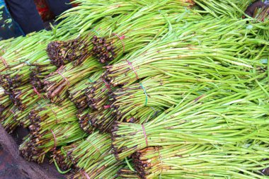 Taze ve sağlıklı yeşil arum lob stoku