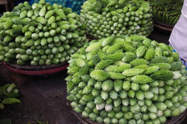 Taze ve sağlıklı Çiğ Acı Karpuz Dükkanı