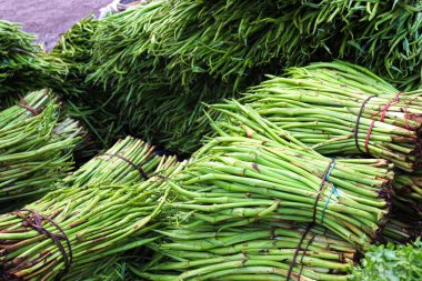 Taze ve sağlıklı yeşil arum lob stoku