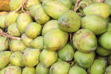 Sağlıklı, taze ve lezzetli hindistan cevizi stoku satışta