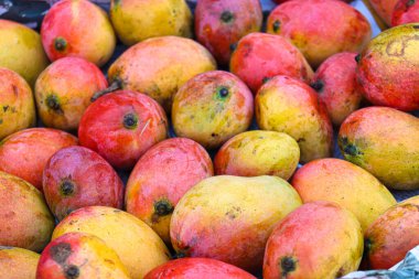 Modaya uygun mango stokları satılıyor.
