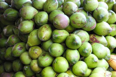 Sağlıklı, taze ve lezzetli hindistan cevizi stoku satışta