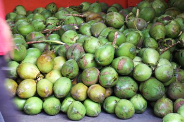 Sağlıklı, taze ve lezzetli hindistan cevizi stoku satışta