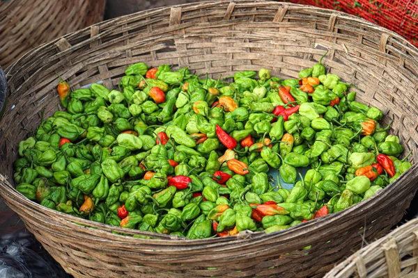 Pimentas Picantes Quentes Vermelhas Verdes Estoque Loja Para Vender — Fotografia de Stock