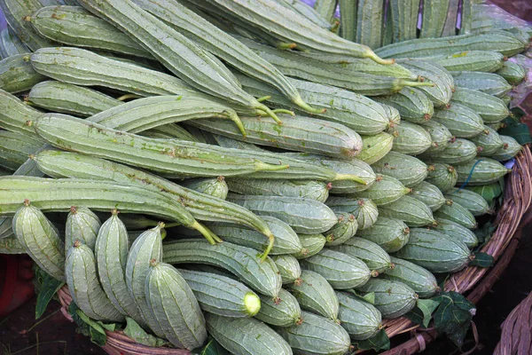 Satılık sağlıklı ve taze su kabağı stoku