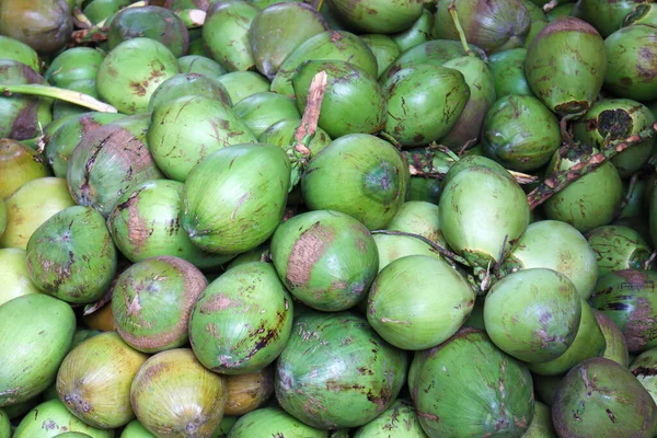 美味的生椰子现货上市销售 — 图库照片