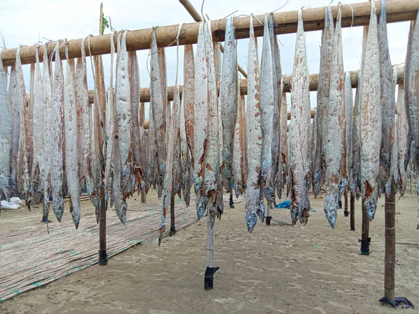 Saboroso Caldo Peixe Seco Salgado Com Suspensão Fazenda Para Colheita — Fotografia de Stock