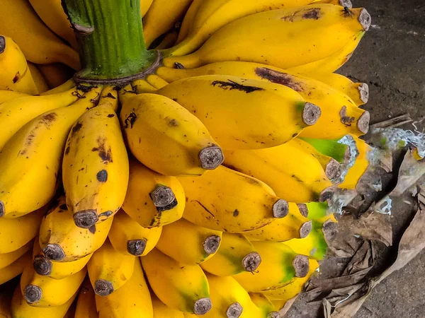 美味而健康的成熟香蕉在商店里反弹出售 — 图库照片