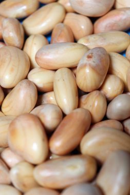 Lezzetli ve sağlıklı olgun meyveli tohumlar satışta.