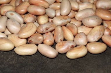 Lezzetli ve sağlıklı olgun meyveli tohumlar satışta.