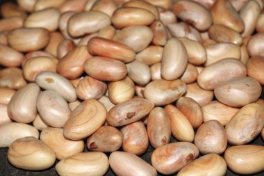 Lezzetli ve sağlıklı olgun meyveli tohumlar satışta.