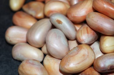 Lezzetli ve sağlıklı olgun meyveli tohumlar satışta.