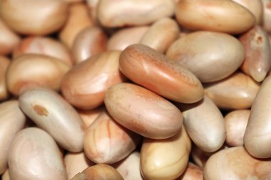 Lezzetli ve sağlıklı olgun meyveli tohumlar satışta.