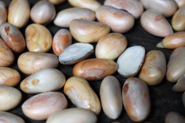 Lezzetli ve sağlıklı olgun meyveli tohumlar satışta.