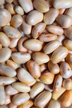 Lezzetli ve sağlıklı olgun meyveli tohumlar satışta.