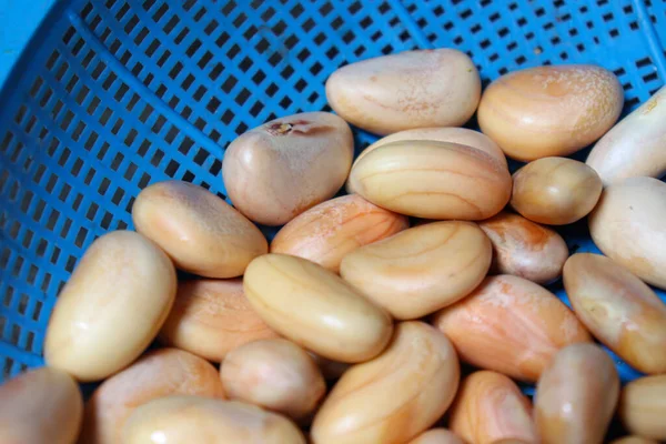 Lezzetli ve sağlıklı meyveli çekirdekler yemek için sepete.