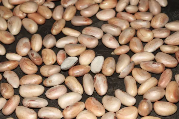 Lezzetli ve sağlıklı olgun meyveli tohumlar satışta.