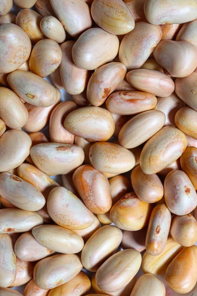 Lezzetli ve sağlıklı olgun meyveli tohumlar satışta.