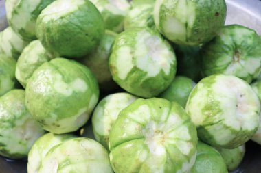 Taze, lezzetli ve sağlıklı guava stokları satılık.