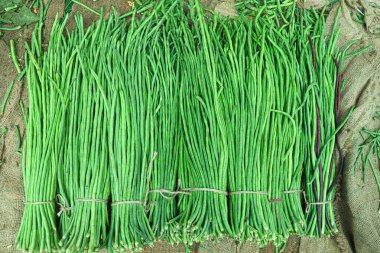 Çiğ taze ve sağlıklı kuşkonmaz. Satılık fasulye stoku.