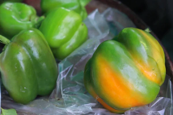 Estoque Capsicum Colorido Múltiplo Loja Para Vender — Fotografia de Stock