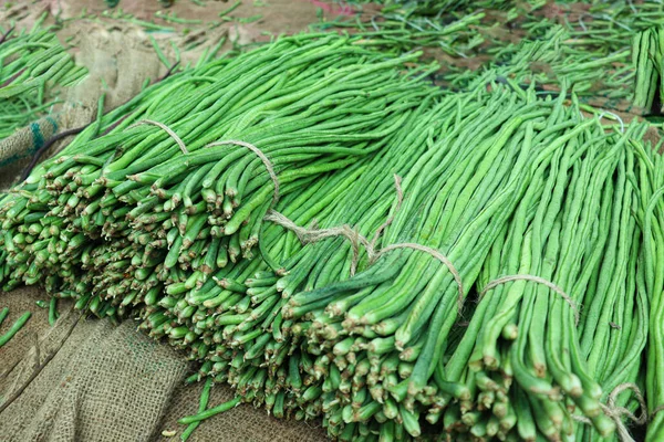 Çiğ taze ve sağlıklı kuşkonmaz. Satılık fasulye stoku.