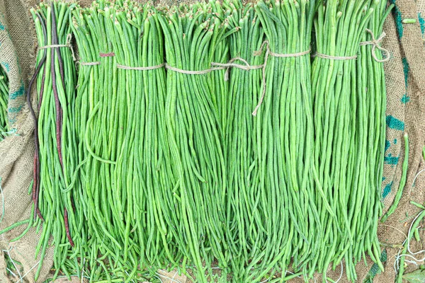 Çiğ taze ve sağlıklı kuşkonmaz. Satılık fasulye stoku.