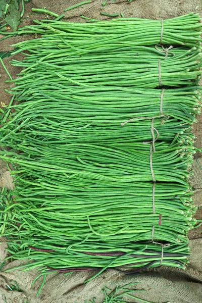 Çiğ taze ve sağlıklı kuşkonmaz. Satılık fasulye stoku.