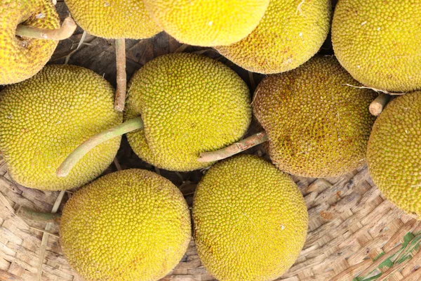 Gustoso Jackfruit Selvatico Maturo Stock Sul Negozio Vendita — Foto Stock