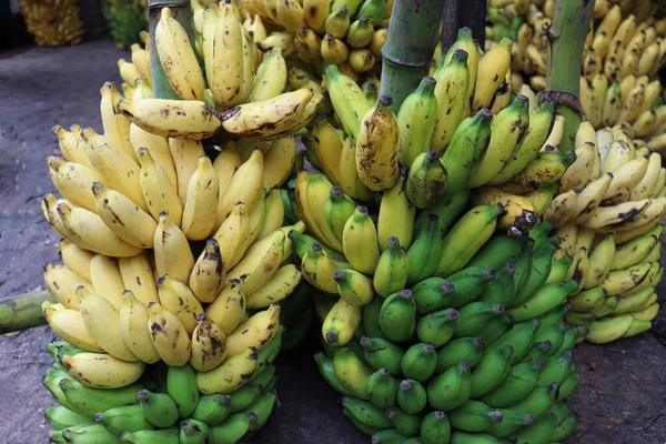 Sabroso Sano Plátano Maduro Montón Acciones Tienda Para Venta — Foto de Stock