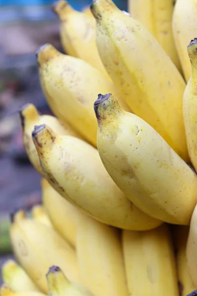 Sabroso Sano Plátano Maduro Montón Acciones Tienda Para Venta — Foto de Stock