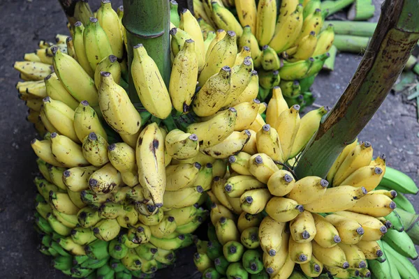 Savoureux Sain Bouquet Bananes Mûres Stock Sur Magasin Vendre — Photo