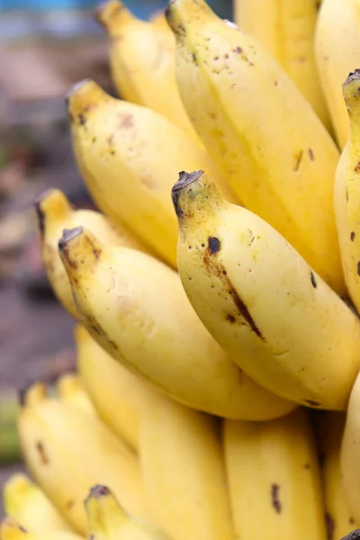 Saboroso Saudável Estoque Banana Madura Loja Para Vender — Fotografia de Stock