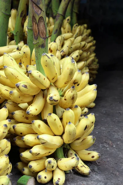 Savoureux Sain Bouquet Bananes Mûres Stock Sur Magasin Vendre — Photo