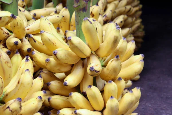 Sabroso Sano Plátano Maduro Montón Acciones Tienda Para Venta — Foto de Stock