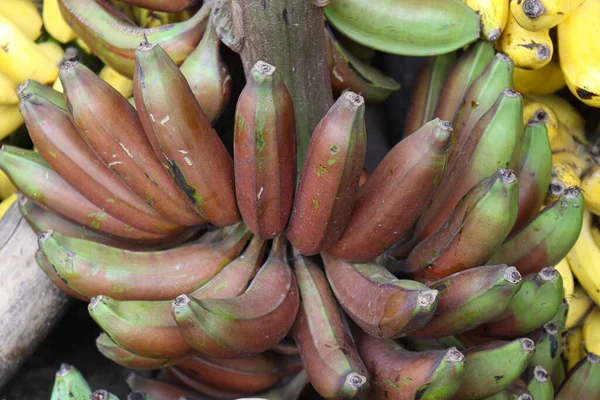 Stock Sain Bouquet Bananes Crues Sur Magasin Vendre — Photo