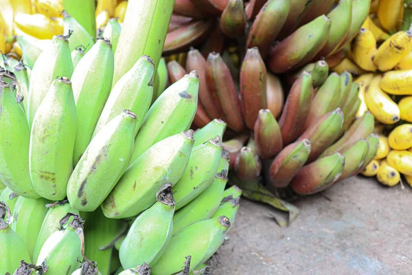 Zdrowy Surowy Banan Pęczek Zapasów Sprzedaż — Zdjęcie stockowe