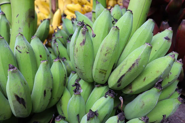 Gezonde Rauwe Bananenbos Voorraad Winkel Verkopen — Stockfoto