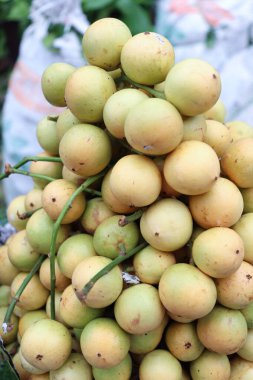 Lezzetli Baccaurea motleyana hisseleri satılık.