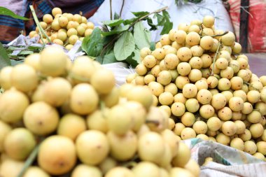 Lezzetli Baccaurea motleyana hisseleri satılık.