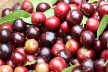 Lezzetli ve taze yaban mersini stoku satışta