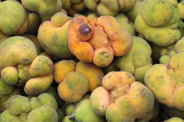 Taze taze Artocarpus Lacucha hisseleri satılık.