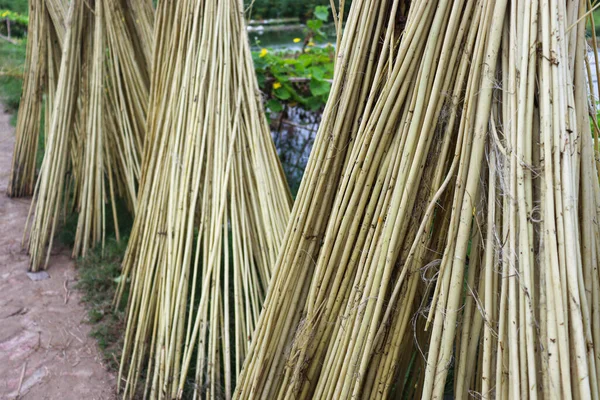 Jute Stick Bunch Stock Field Drying Harvest — Stock Fotó