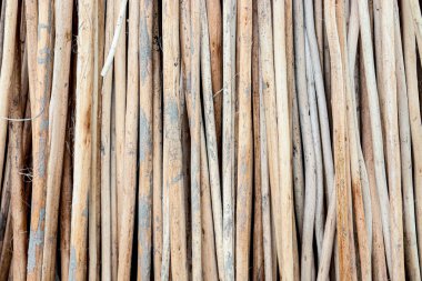 jute stick bunch stock on field for drying and harvest